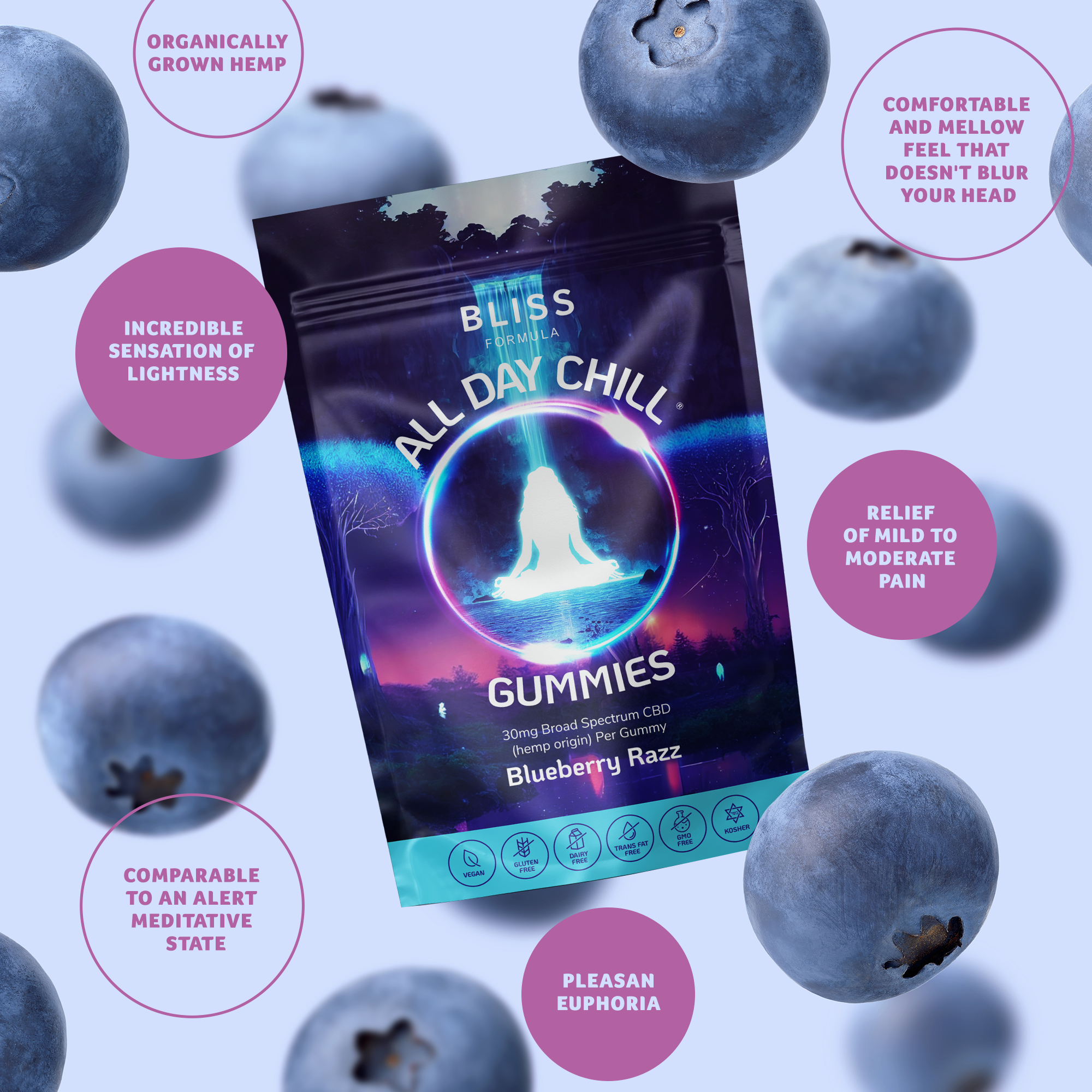 Bliss Formula Gummies 10 Variety Pack